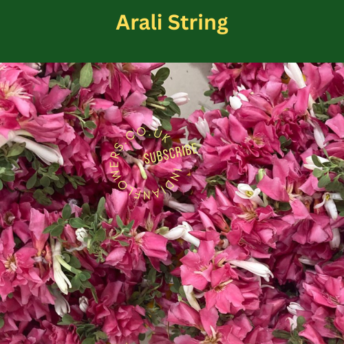 Arali String