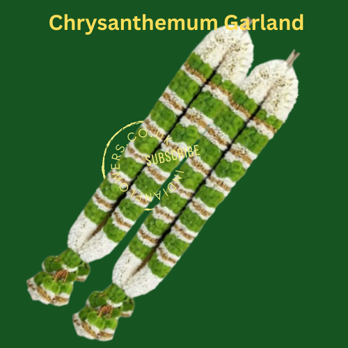 Chrysanthemum Garland