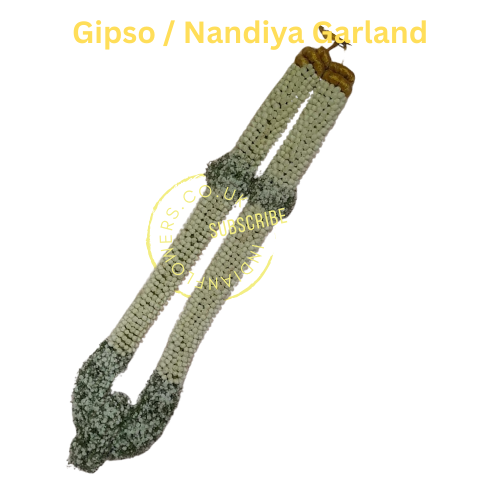 Gipso Grland