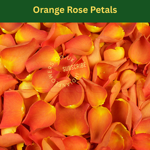 Rose Petals 250g