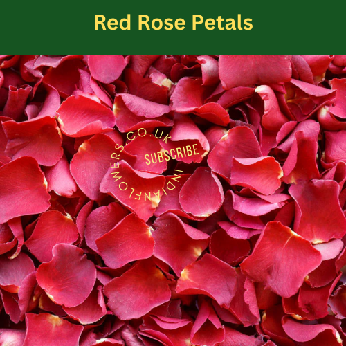 Rose Petals 250g