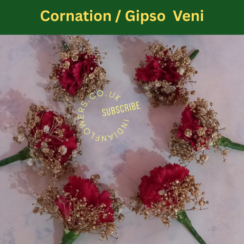 Veni 5
