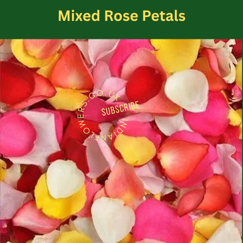 Rose Petals 250g