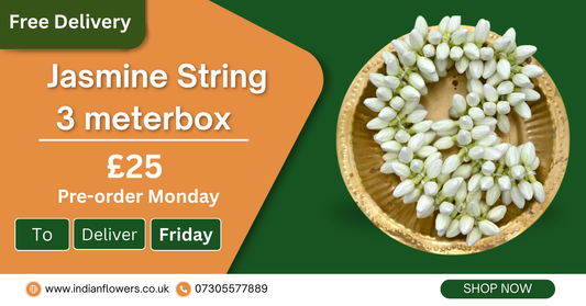 Jasmine Flower String  3 metre box