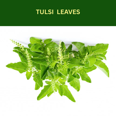 Tulsi Leaves