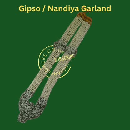 Gipso Grland
