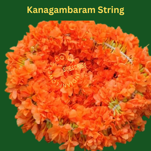 Kanakambaram String