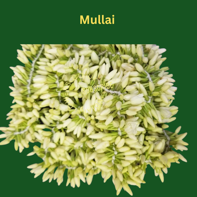 Mullai Flower String