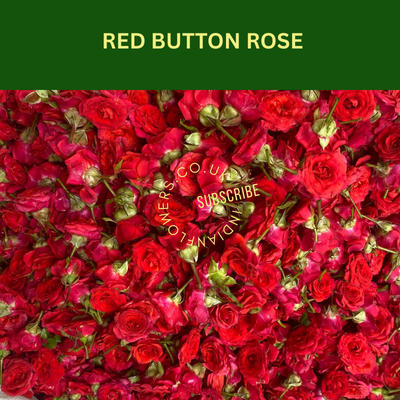 Red roses