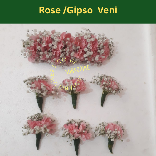 Veni 6