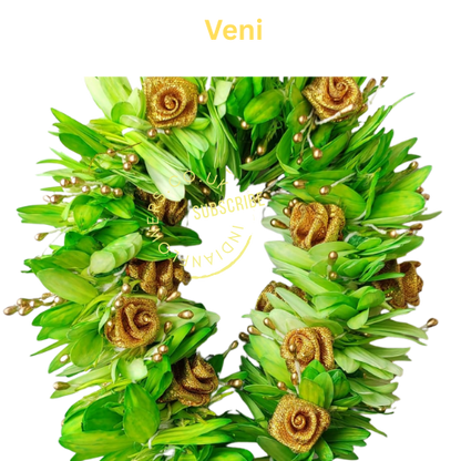 Veni 3