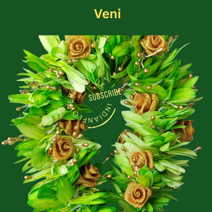 Veni 3
