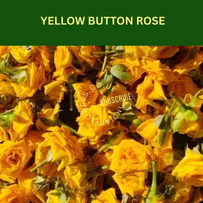 Yellow Roses