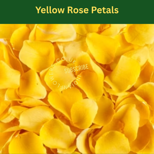 Rose Petals 250g